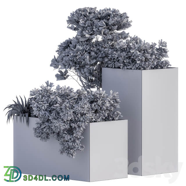 Outdoor Plants Box Concrete