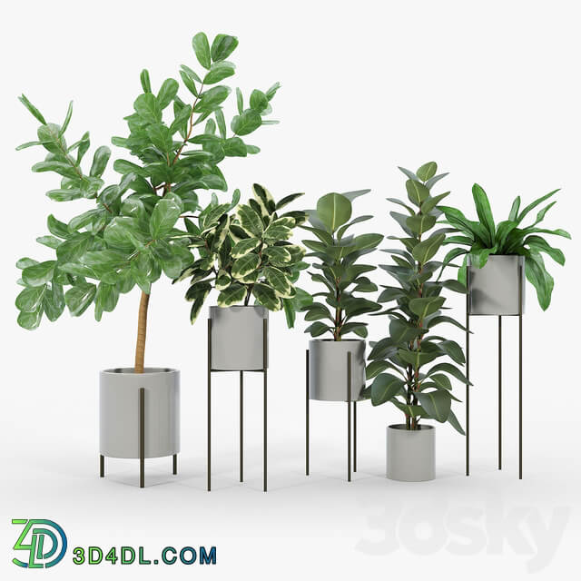 Dundee Light Gray Planters with Stands