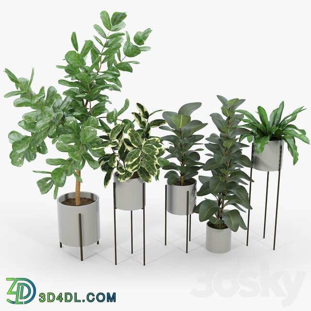 Dundee Light Gray Planters with Stands