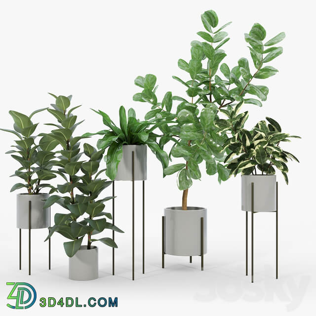 Dundee Light Gray Planters with Stands