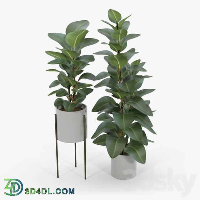 Dundee Light Gray Planters with Stands