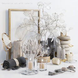 Decorative set with Lunaria 