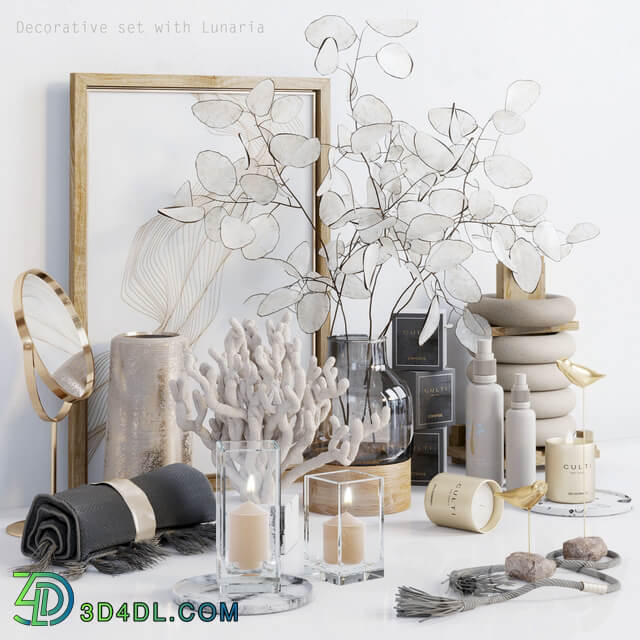 Decorative set with Lunaria