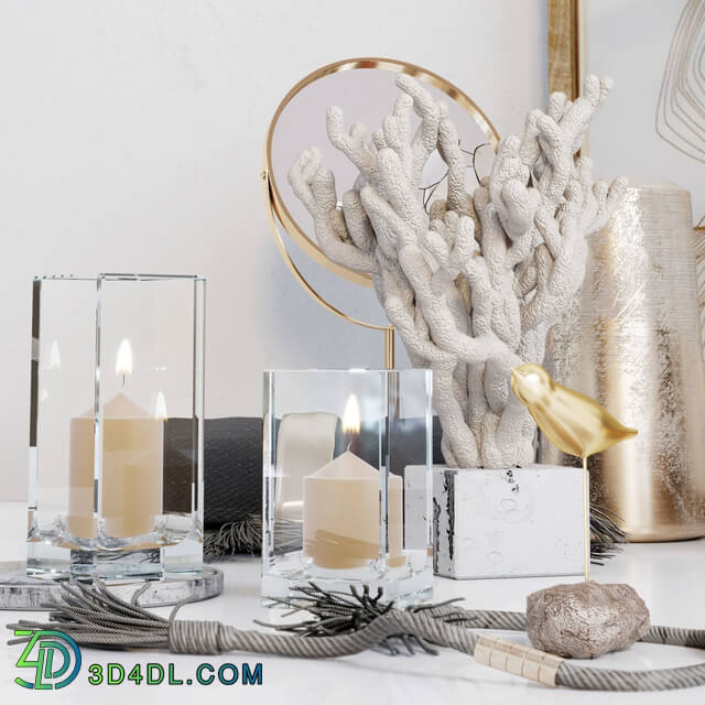 Decorative set with Lunaria