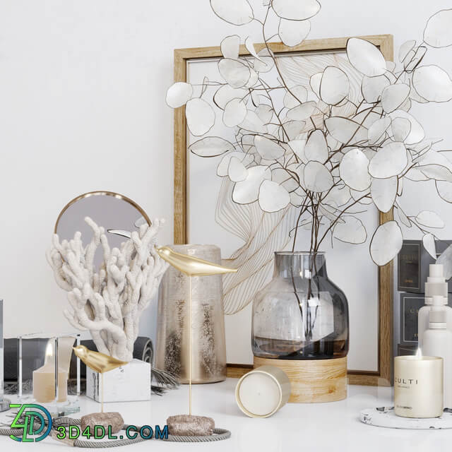 Decorative set with Lunaria