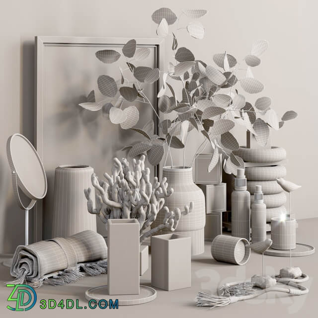 Decorative set with Lunaria
