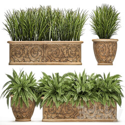 Plant Collection 496. fern bushes classic flowerpot landscaping outdoor pots for garden park 3D Models 