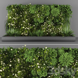 Fitowall Vertical garden 084 