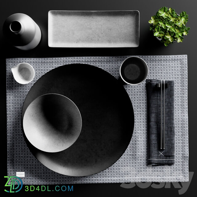 Japanese minimalist Sushi set with Plant from Chalk and Moss