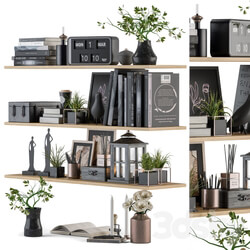 Decorative Set on Shelves 