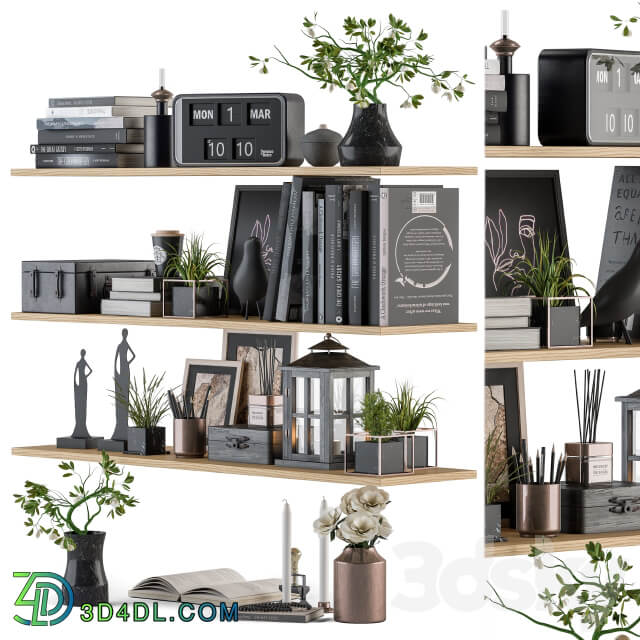 Decorative Set on Shelves