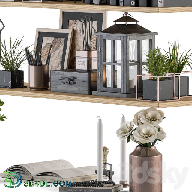 Decorative Set on Shelves