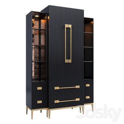 Wardrobe Display cabinets Showcase Black Satin 