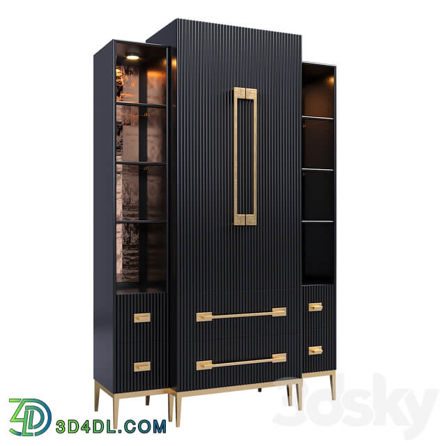 Wardrobe Display cabinets Showcase Black Satin