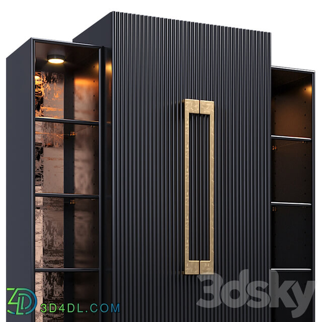 Wardrobe Display cabinets Showcase Black Satin