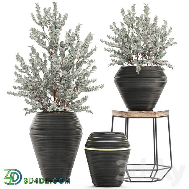 Plant Collection 534. 3D Models