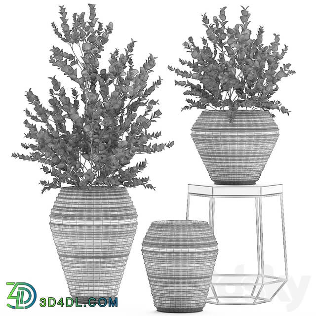 Plant Collection 534. 3D Models