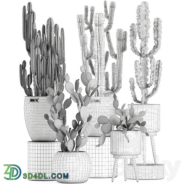 Collection of plants 617. Rattan basket Prickly pear Carnegia Cereus eco design natural decor set desert plants Prickly pear 3D Models