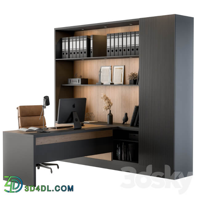 Office Furniture Manager Set 04