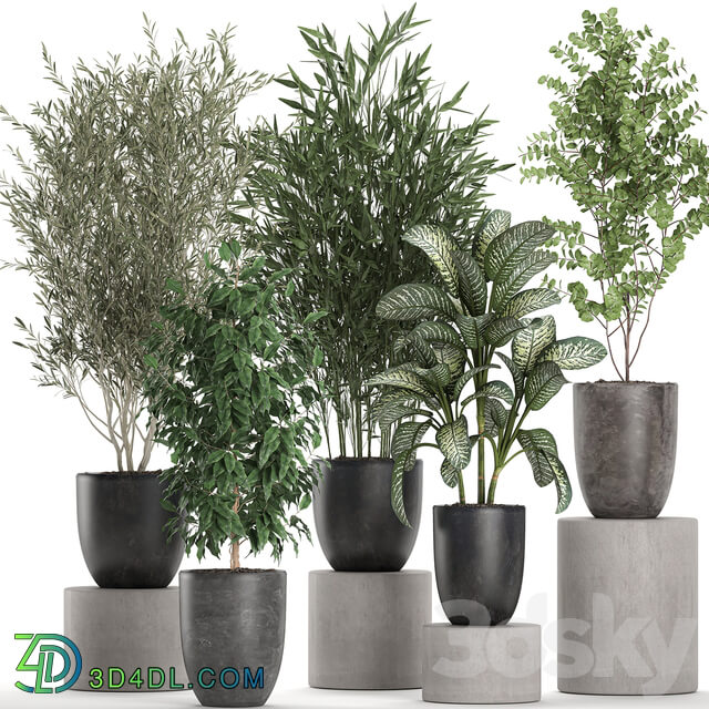 Plant collection 650. 3D Models