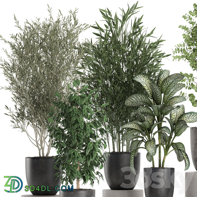 Plant collection 650. 3D Models