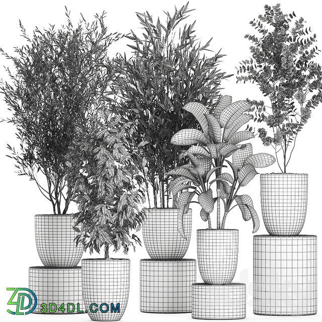 Plant collection 650. 3D Models