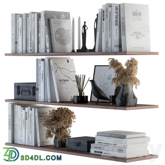 Decorative Set on Shelves White book and Dried Plants