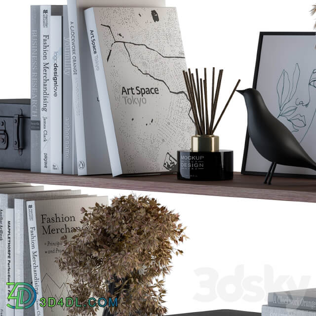 Decorative Set on Shelves White book and Dried Plants