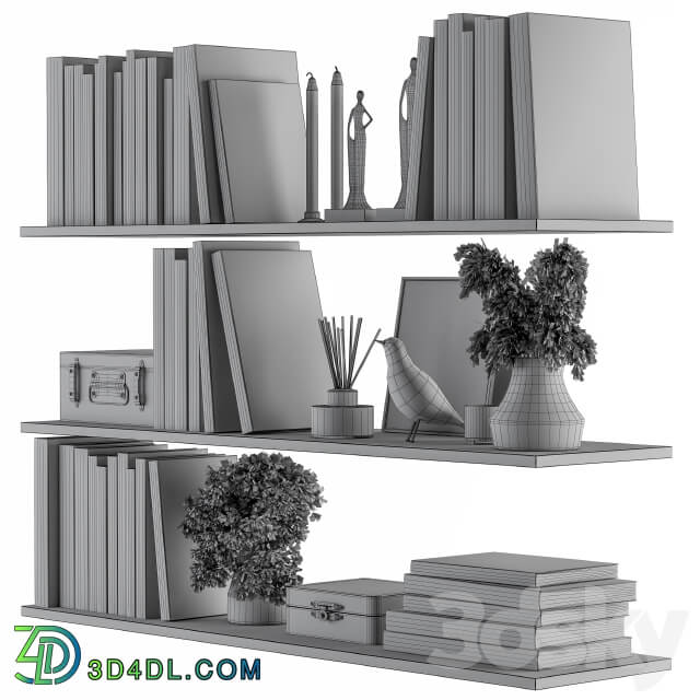 Decorative Set on Shelves White book and Dried Plants