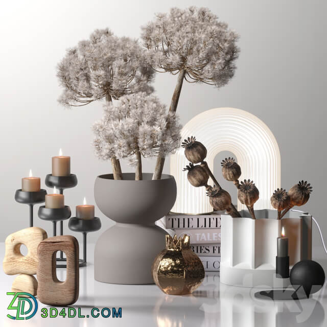Decor set 03 with Fluffy Dried Flower