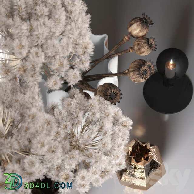 Decor set 03 with Fluffy Dried Flower