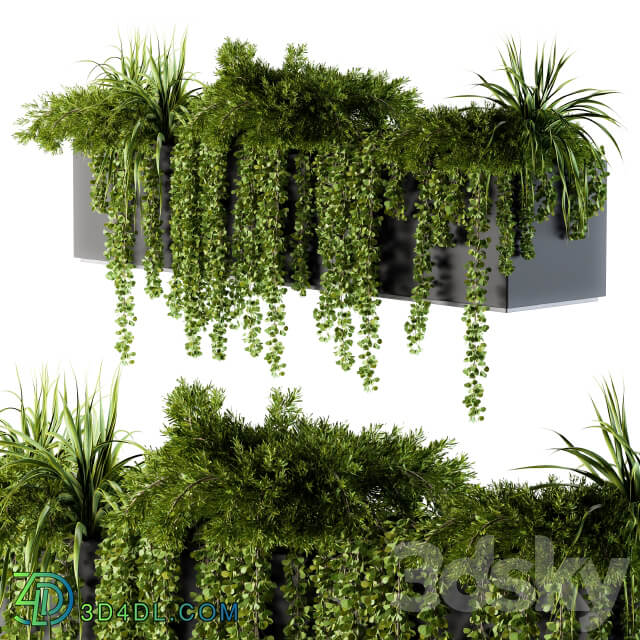 ivy plants in box Outdoor Set 62