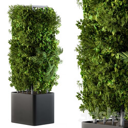 Outdoor Plant Box Vertical Garden 02 