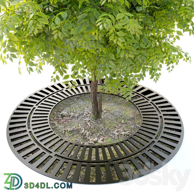 Tree with metal grate