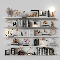 Shelves 04 