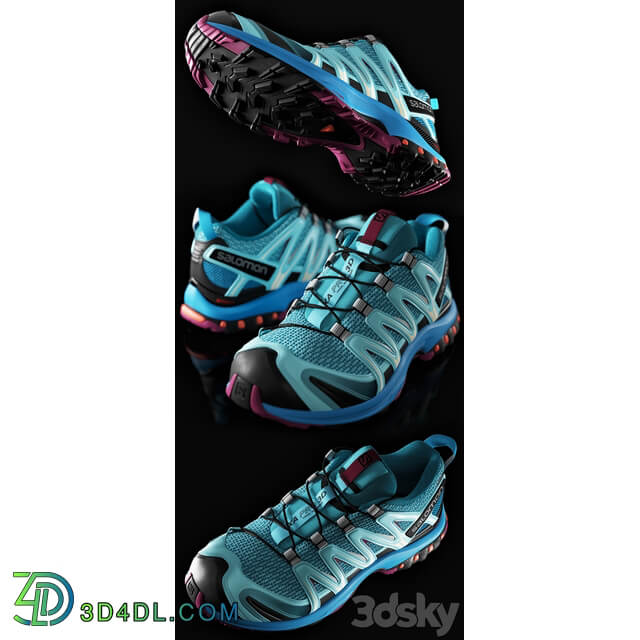 Footwear SALOMON Xa Pro 3D