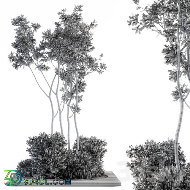 Garden set bush and Tree Garden Set 04