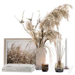 Decorative Set Dried Plants and Pampas Set 46 