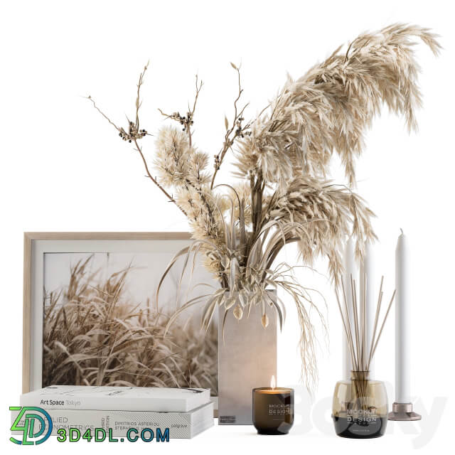 Decorative Set Dried Plants and Pampas Set 46