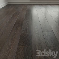 Wood Laminate. Parquet. 217 