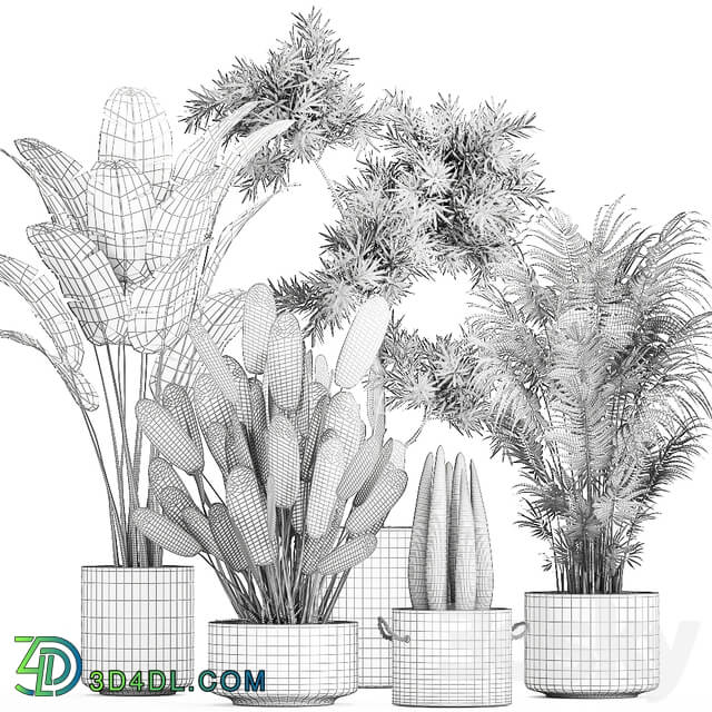 Plant collection 754. 3D Models