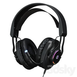 Headphones HP H360 