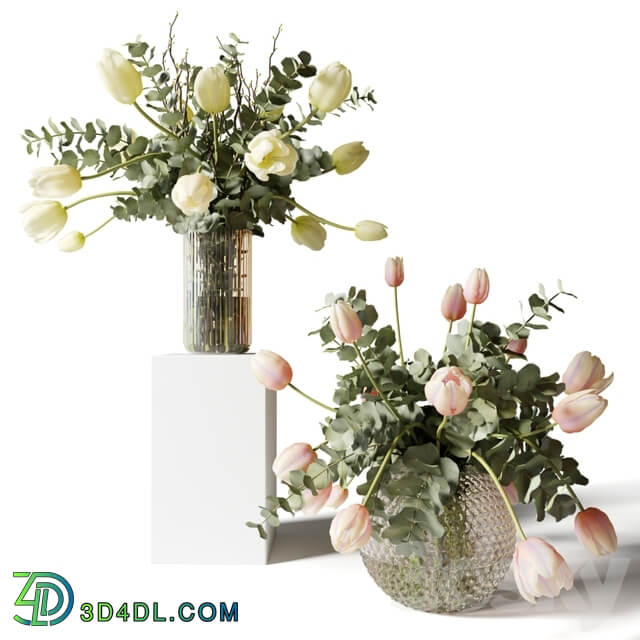 Bouquets of eucalyptus and tulips in glass vases