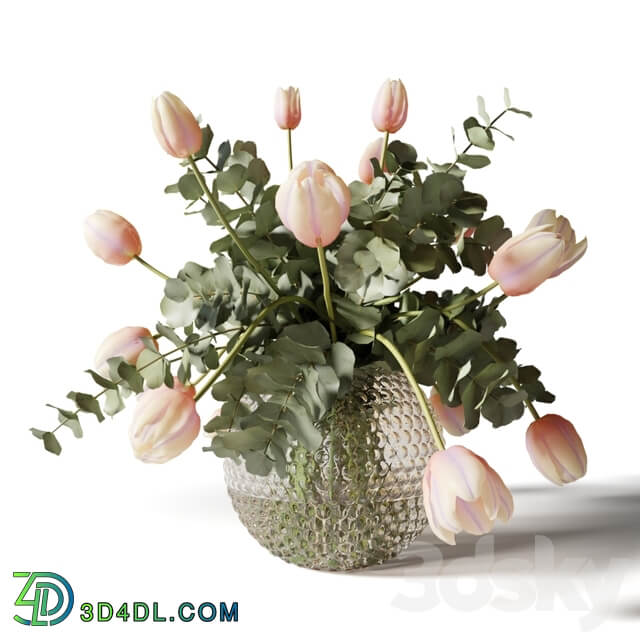 Bouquets of eucalyptus and tulips in glass vases