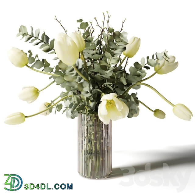 Bouquets of eucalyptus and tulips in glass vases