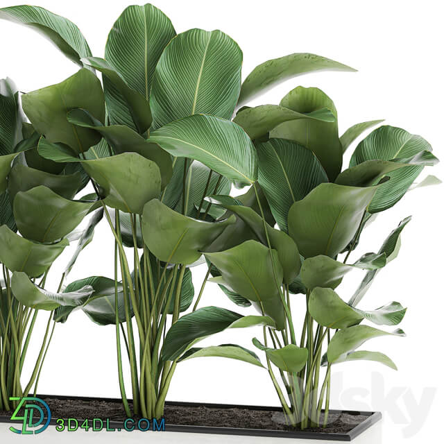 Plant collection 754. 3D Models