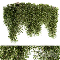 Outdoor Plant Set 96 Hanging Plants 