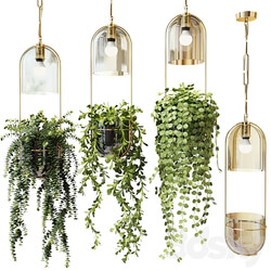 Pendant light Ampel plants in hanging pots lamps set 2 