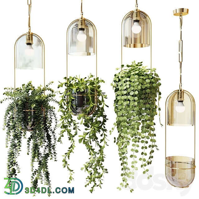 Pendant light Ampel plants in hanging pots lamps set 2