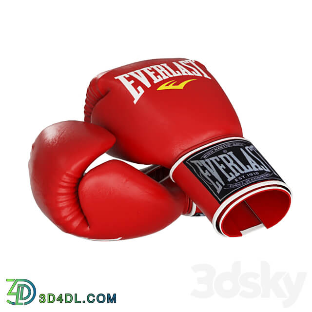 Boxing Equipment